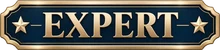Expert